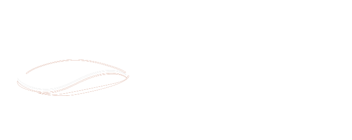 EDV Beratung Bassler
